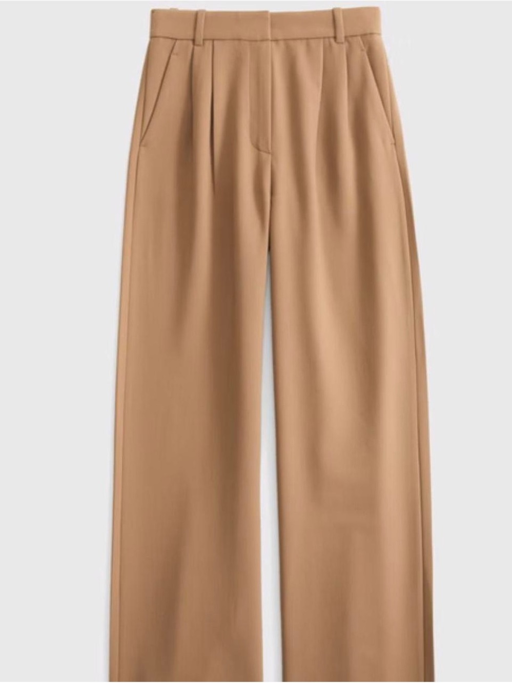 Abercrombie & Fitch Sloan Tailored Wide-Leg Pant
